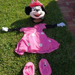 Adult Or Teenager Minnie Mouse Costume