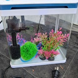 2 Gallon Fish Aquarium