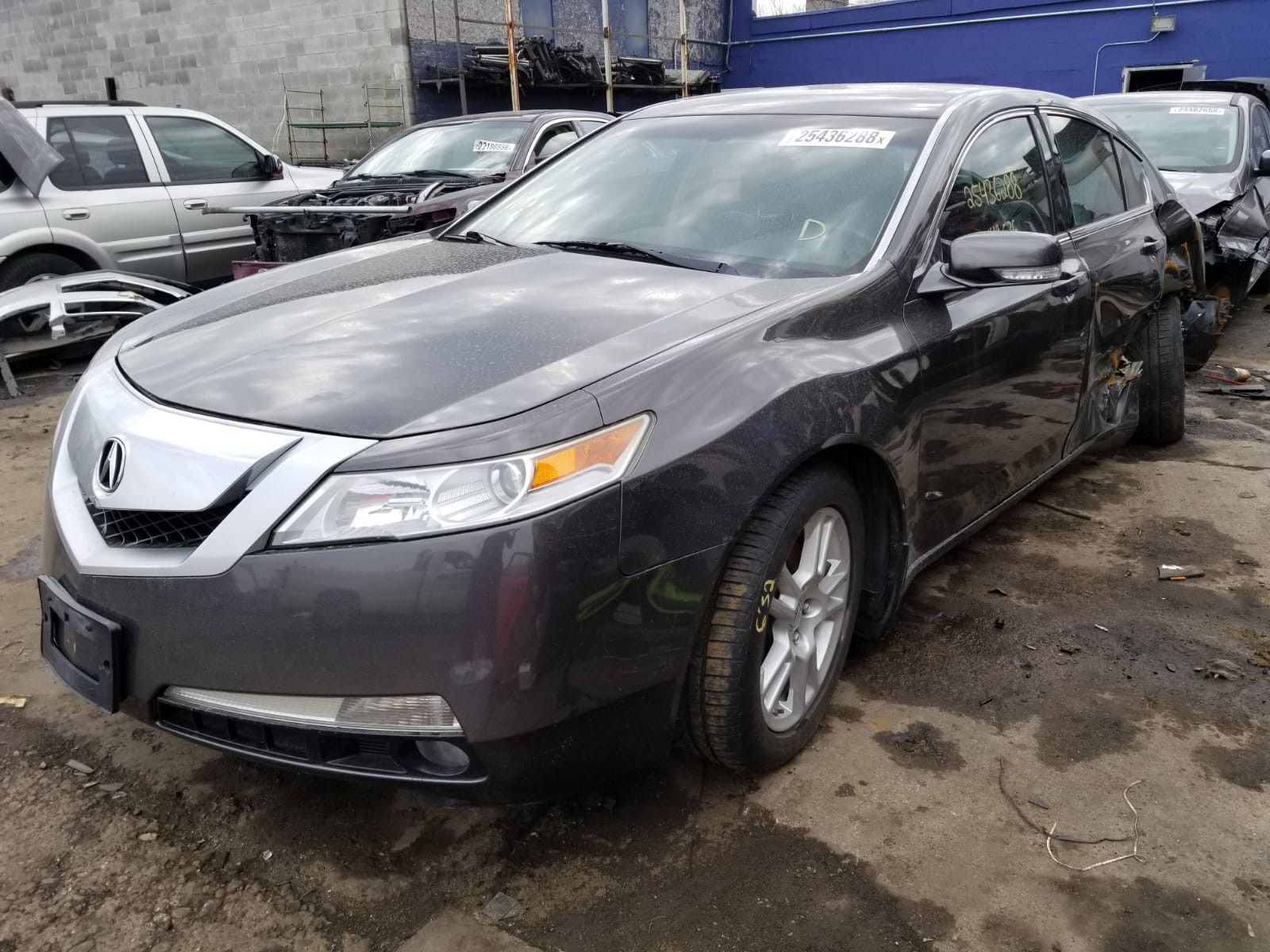 2009 Acura TL For Parts Only