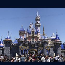 I Need Two Disney Land Tickets