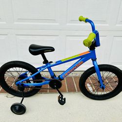 Cannondale Trail 16 Single-Speed Kids Bike 16- New 