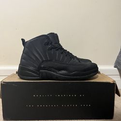 Jordan 12 Retro Winterized
