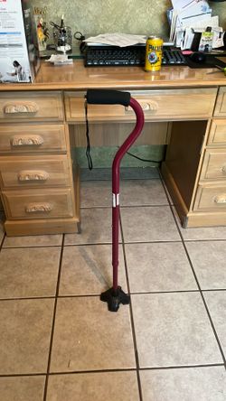 Metal cane