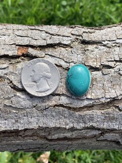 Turquoise Cabochon Gemstones Stones Nevada