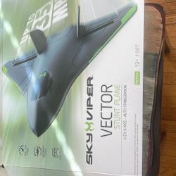 Sky Viper Stunt Plane