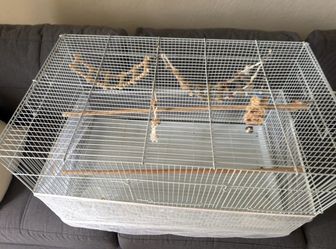 Birds cage