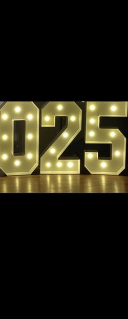 3ft Marquee Numbers ($25 Each)