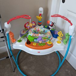 Fisher-Price Baby Bouncer Animal Activity Jumperoo