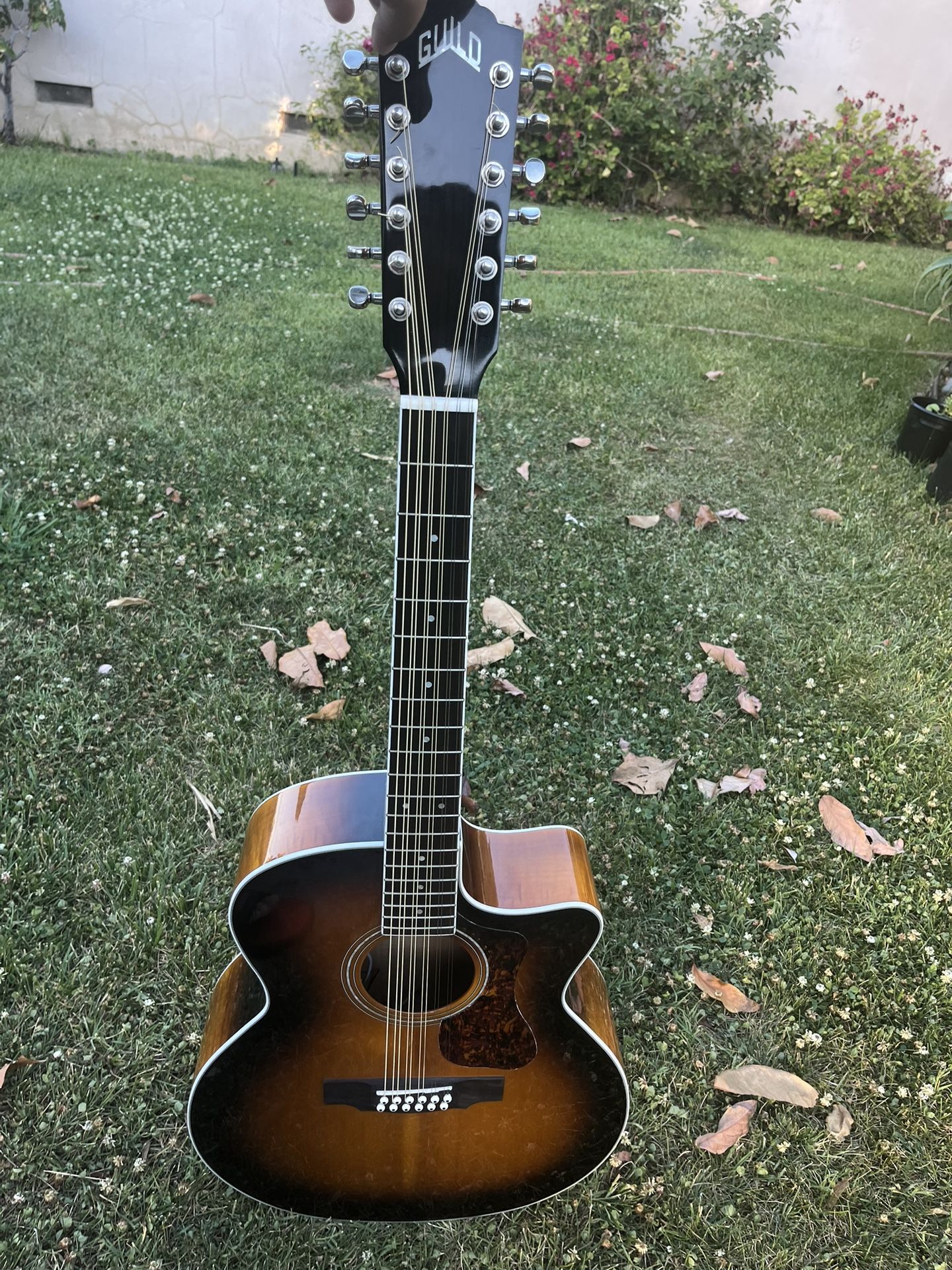 12 String Guild