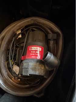 1/3 sump pump