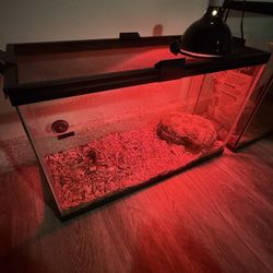 Reptile Tank