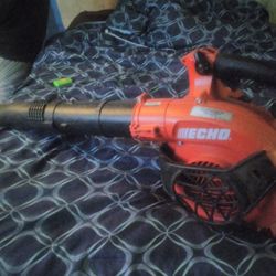 Echo Leaf Blower 