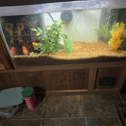 32 Gallon Fluval Fish Tank 