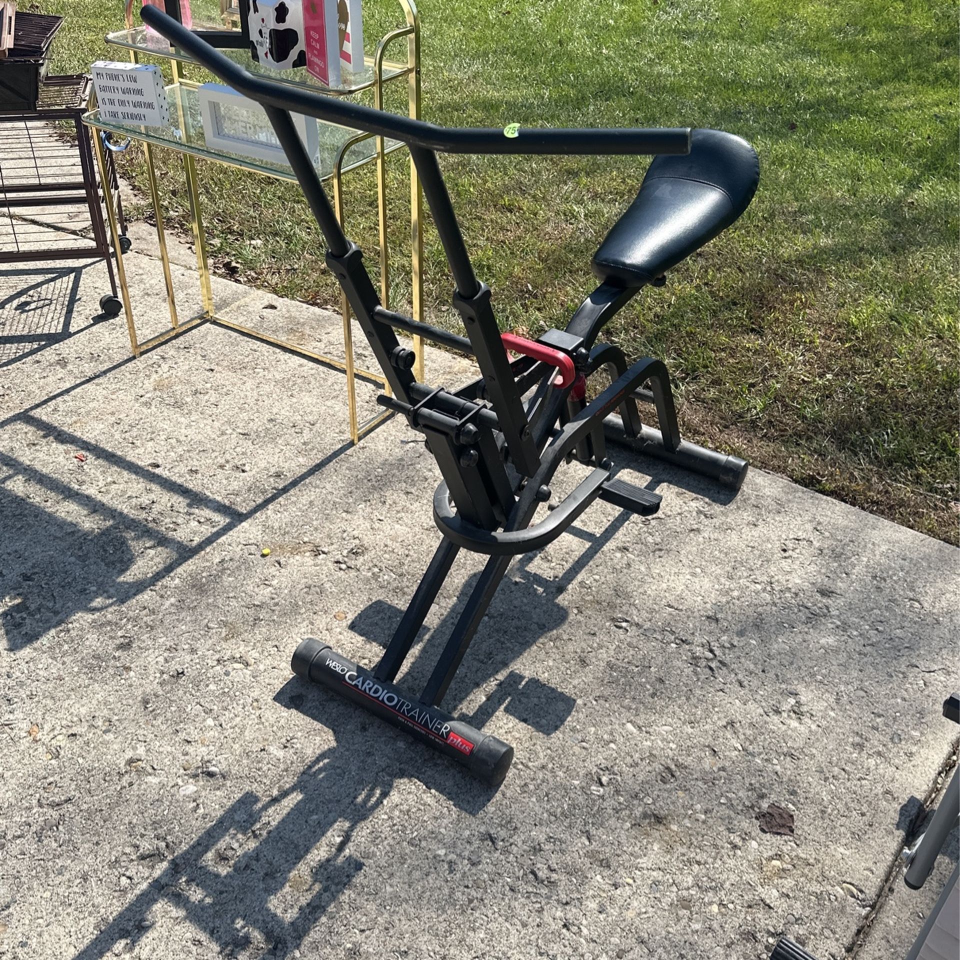 Weslo Cardio Trainer Plus