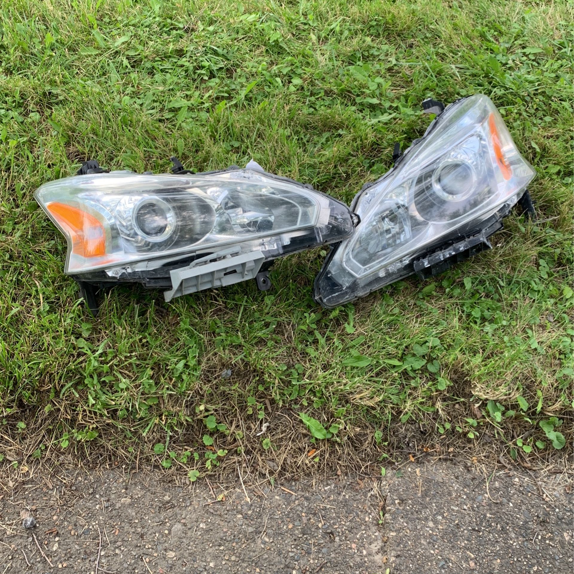 Professional Clean 2015 Nissan Altima Headlights