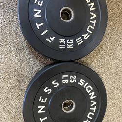 2-25lb. Olympic Plates 