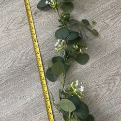 Eucalyptus With White Small Flowers, Garland