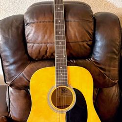 Acoustic Guitar Rogue