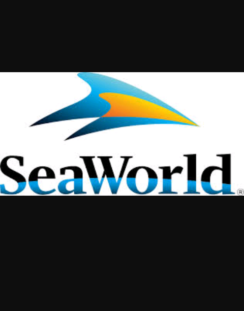 Seaworld&universal studios