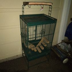 Bird Cage 