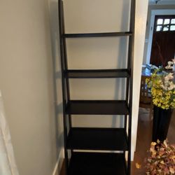 Ladder Shelf