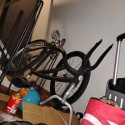 Unknown Beach Cruiser