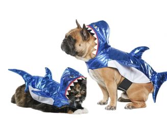 Shark Dog Halloween Costume, Size S