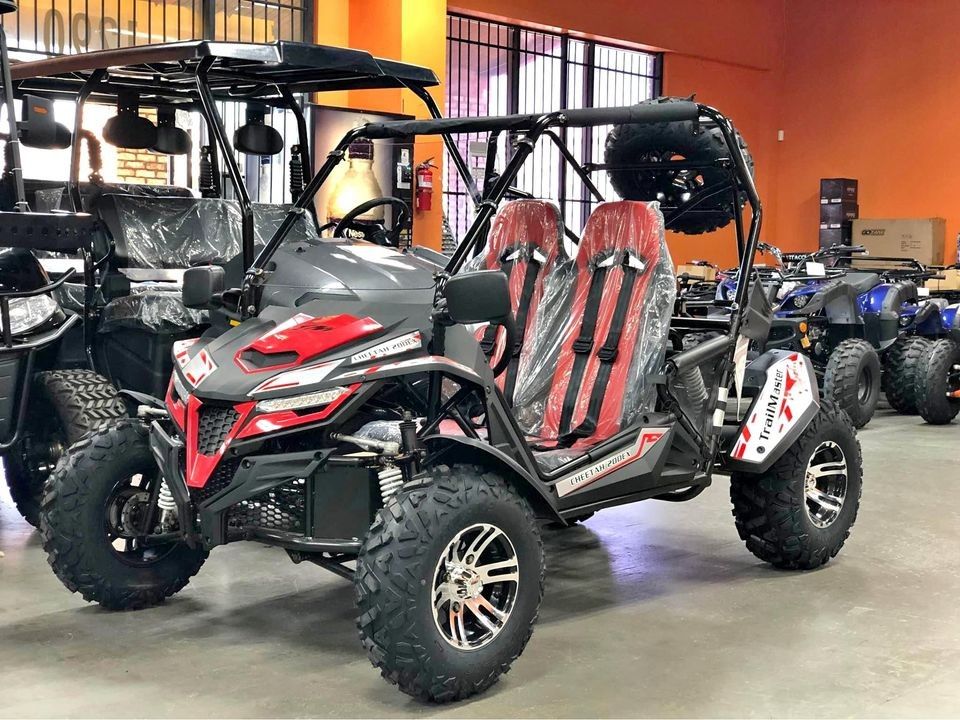 Trailmaster Cheetah 200X full size automatic go kart on sale