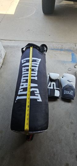 Everlast Punching Bag and Gloves