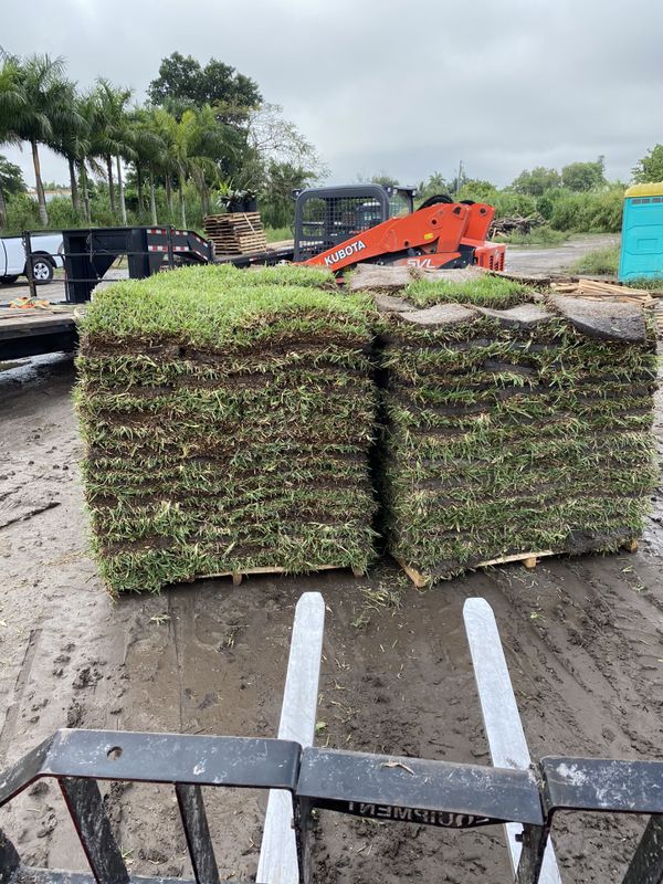 Floratam sod for Sale in Miami, FL OfferUp