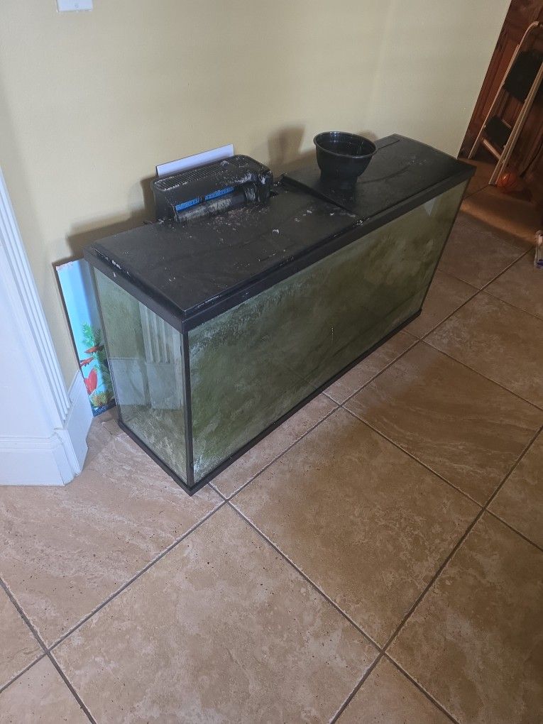 75 Gallon Tank No Stand