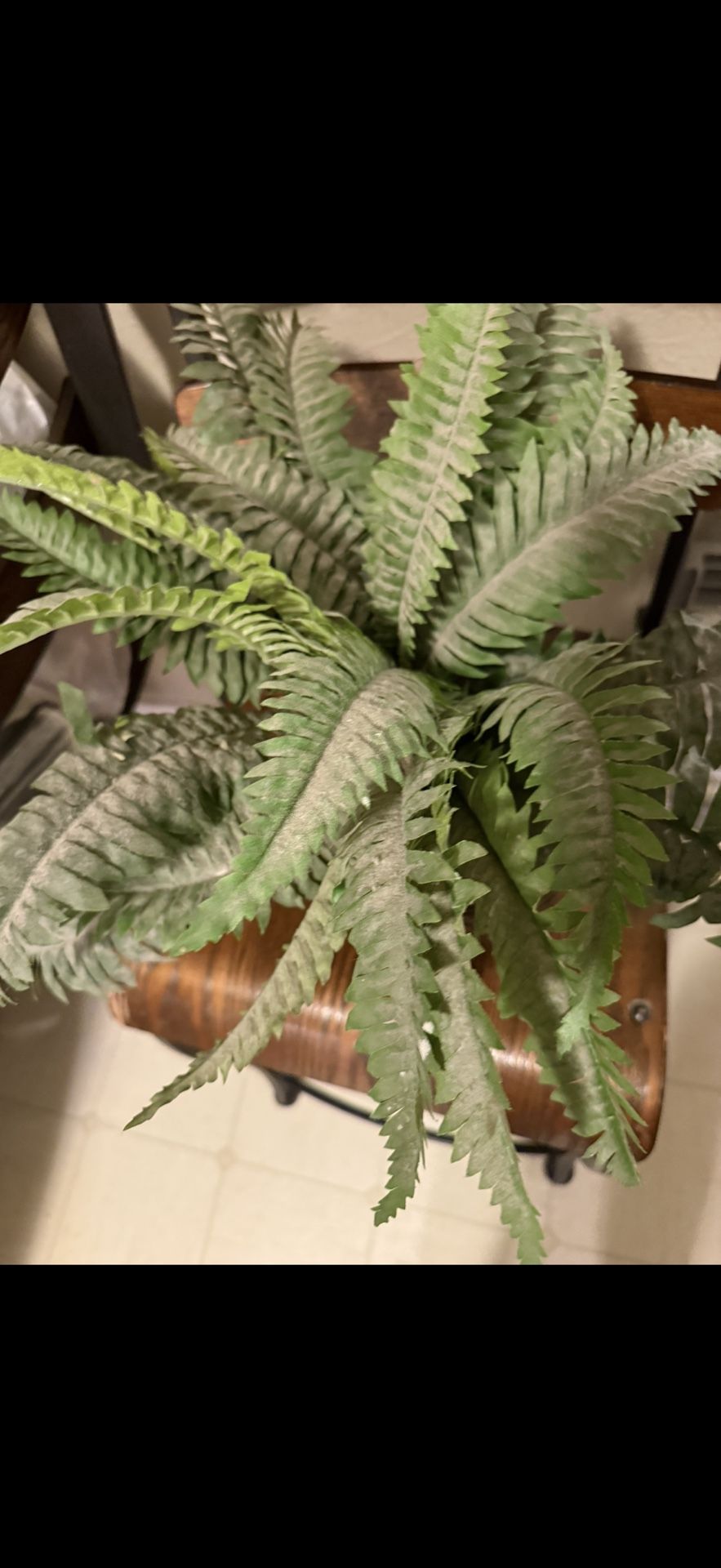 Really Dusty Fake Plant