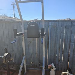 Fitness Gear Pro PT600 power tower