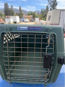 Shower tub for dogs and crates