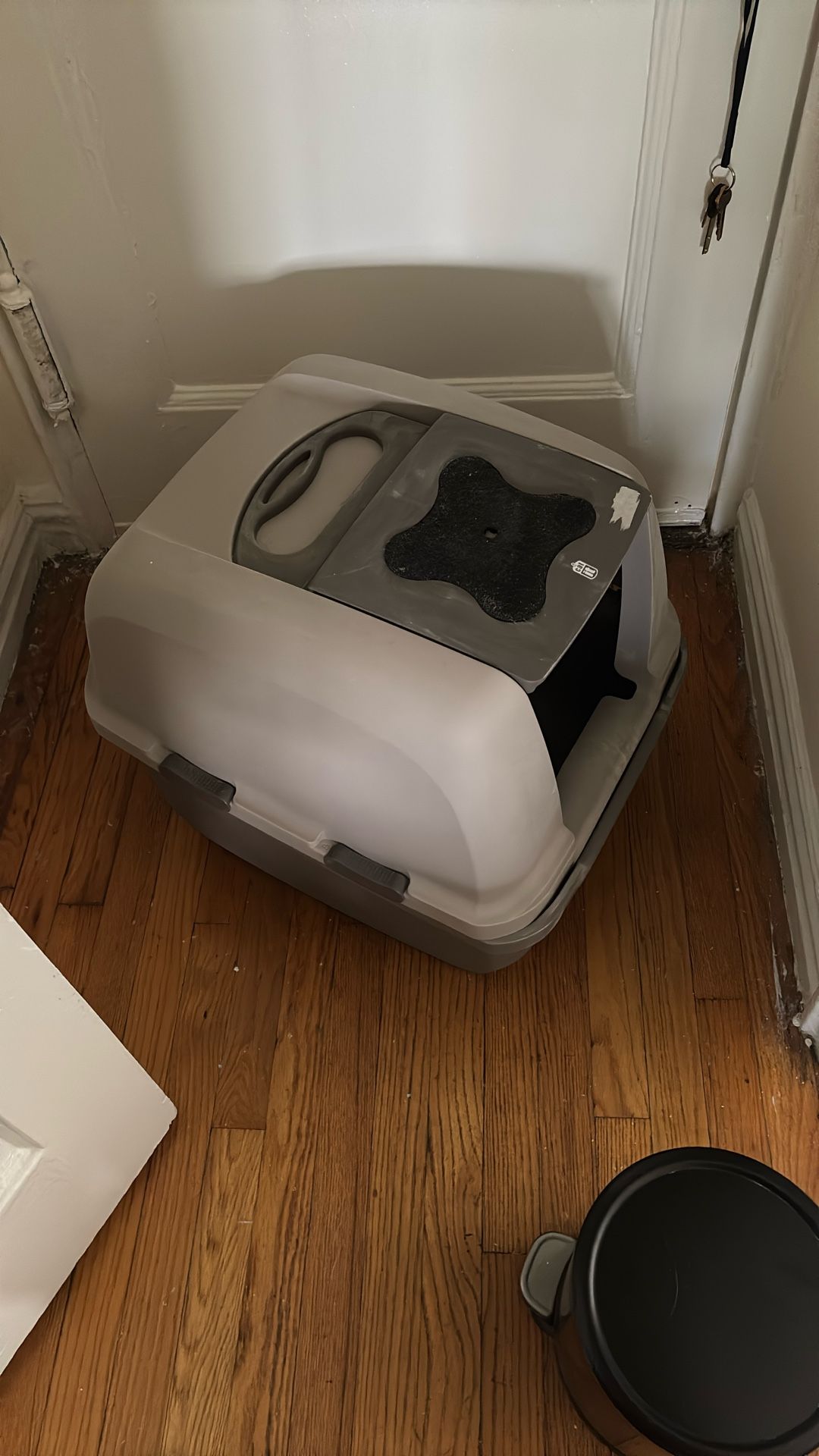 Jumbo CAT Litter Box