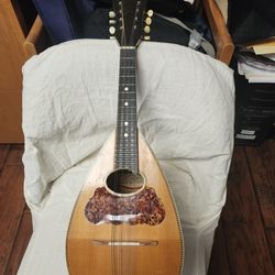 Vintage Washburn Mandolin