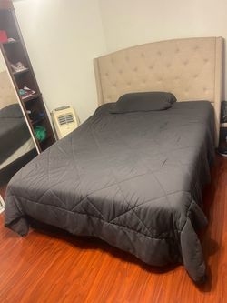 FREE BED & MATTERS!!!