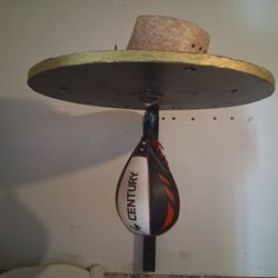 Speed Bag  And Mounting Board