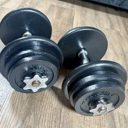 Standard Adjustable Dumbbells With 10s, 7.5s And 5 Pound Plates  (100 lbs.)