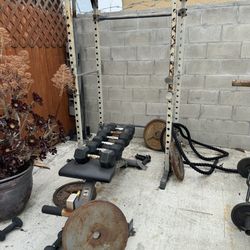 Strength Equipments 