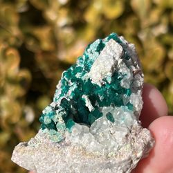 Dioptase Crystal Specimen, Namibia (A)