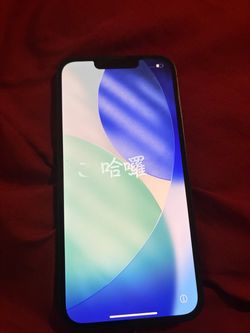 iPhone 13