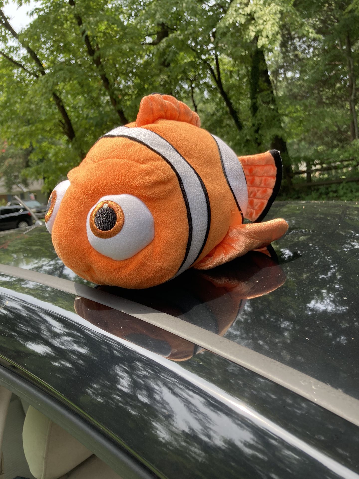 Nemo From Finding Nemo