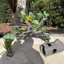 Aquarium Decoration Set For Sale