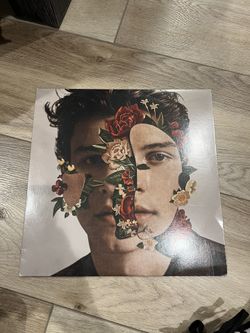 Shawn Mendez Vinyl