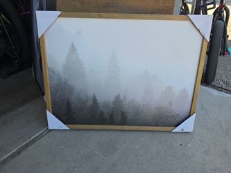 Framed  Forest art