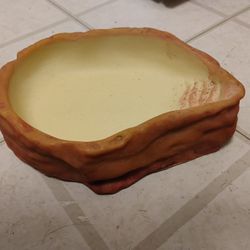Reptile Water Bowl 