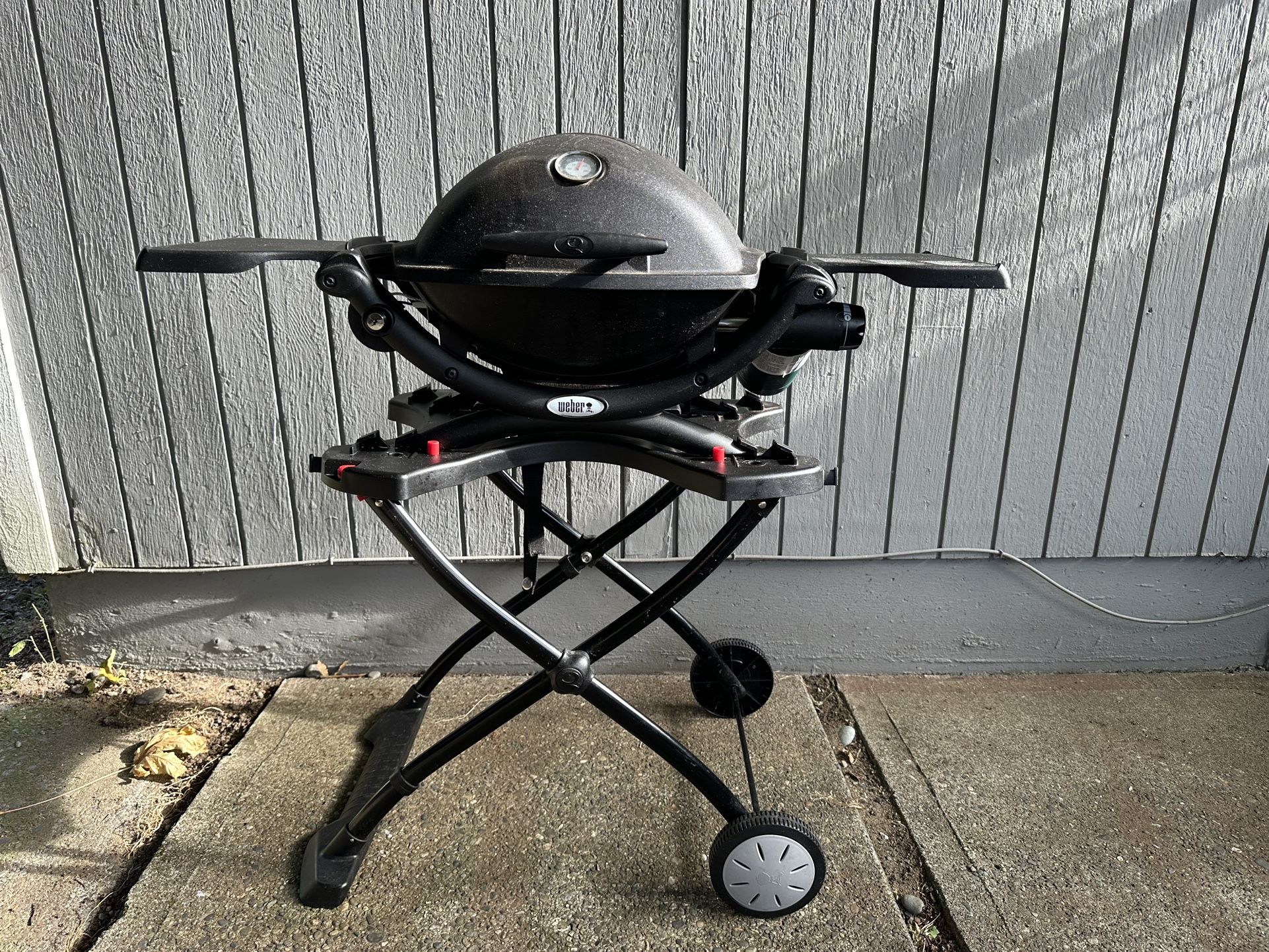 Weber Q 1200 Gas Grill