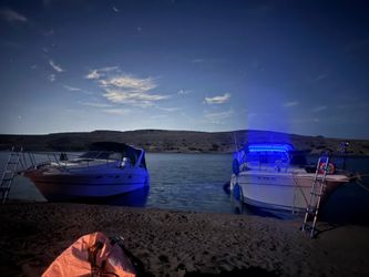 Searay 310