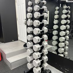 Vertical Dumbbell Storage Rack (NEW)